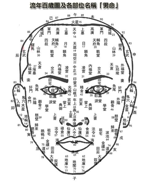 鬢角男面相|探討「面相風水鬢角」的含義與作用。【面相風水鬢角】 – 香港奇。